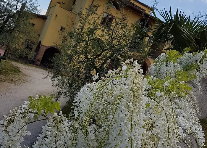 ホテル Il Poderaccio 2*